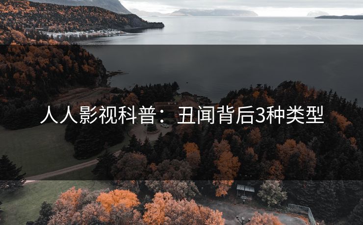 人人影视科普：丑闻背后3种类型