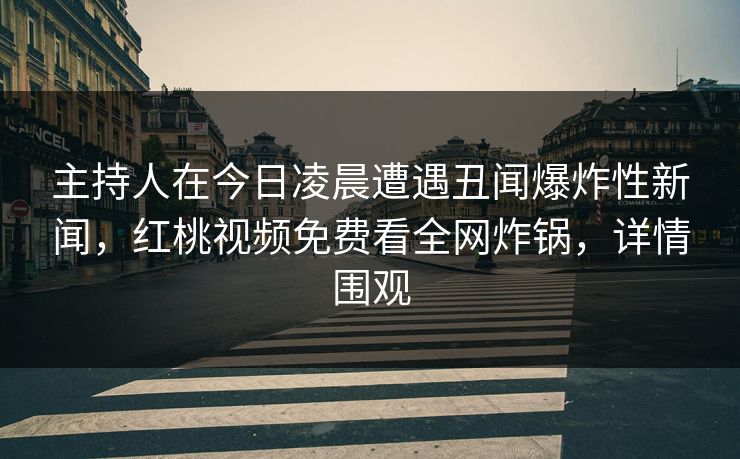 主持人在今日凌晨遭遇丑闻爆炸性新闻，红桃视频免费看全网炸锅，详情围观