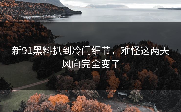 新91黑料扒到冷门细节,难怪这两天风向完全变了 新91黑料扒到冷门细节,难怪这两天风向完全变了